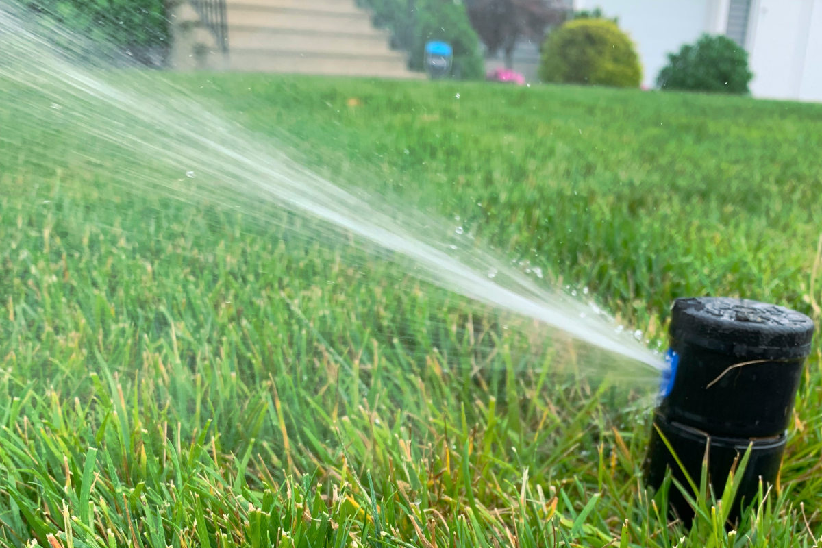 how-to-water-your-lawn-properly-out-in-my-lawn