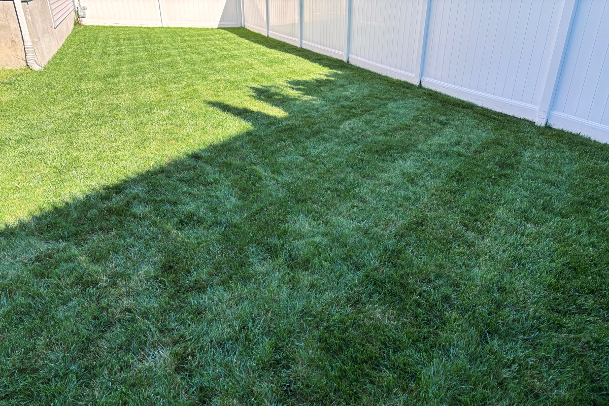 back_left_lawn_fall_2025