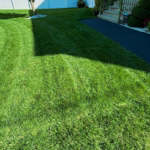 Last Fertilizer Application of The Season