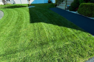 Read more about the article Last Fertilizer Application of The Season