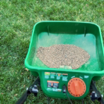Fall Lawn Care: The Lowdown on Lime and pH