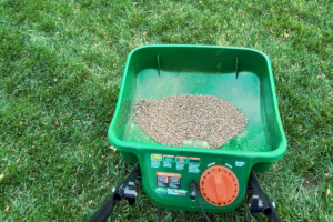 Read more about the article Fall Lawn Care: The Lowdown on Lime and pH
